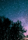 Starry night wonder