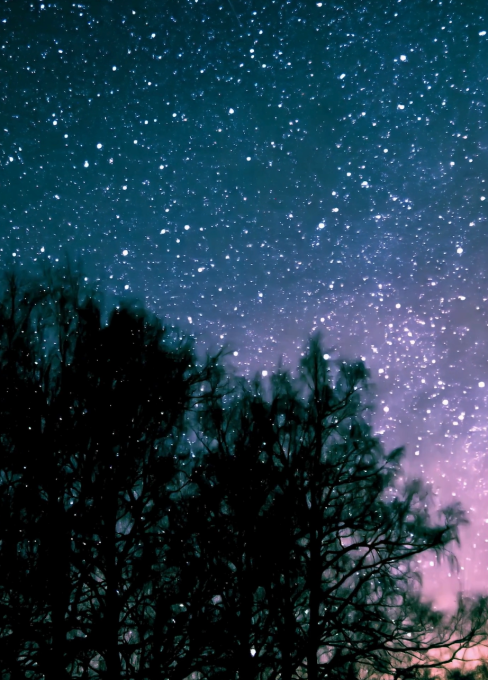 Starry night wonder