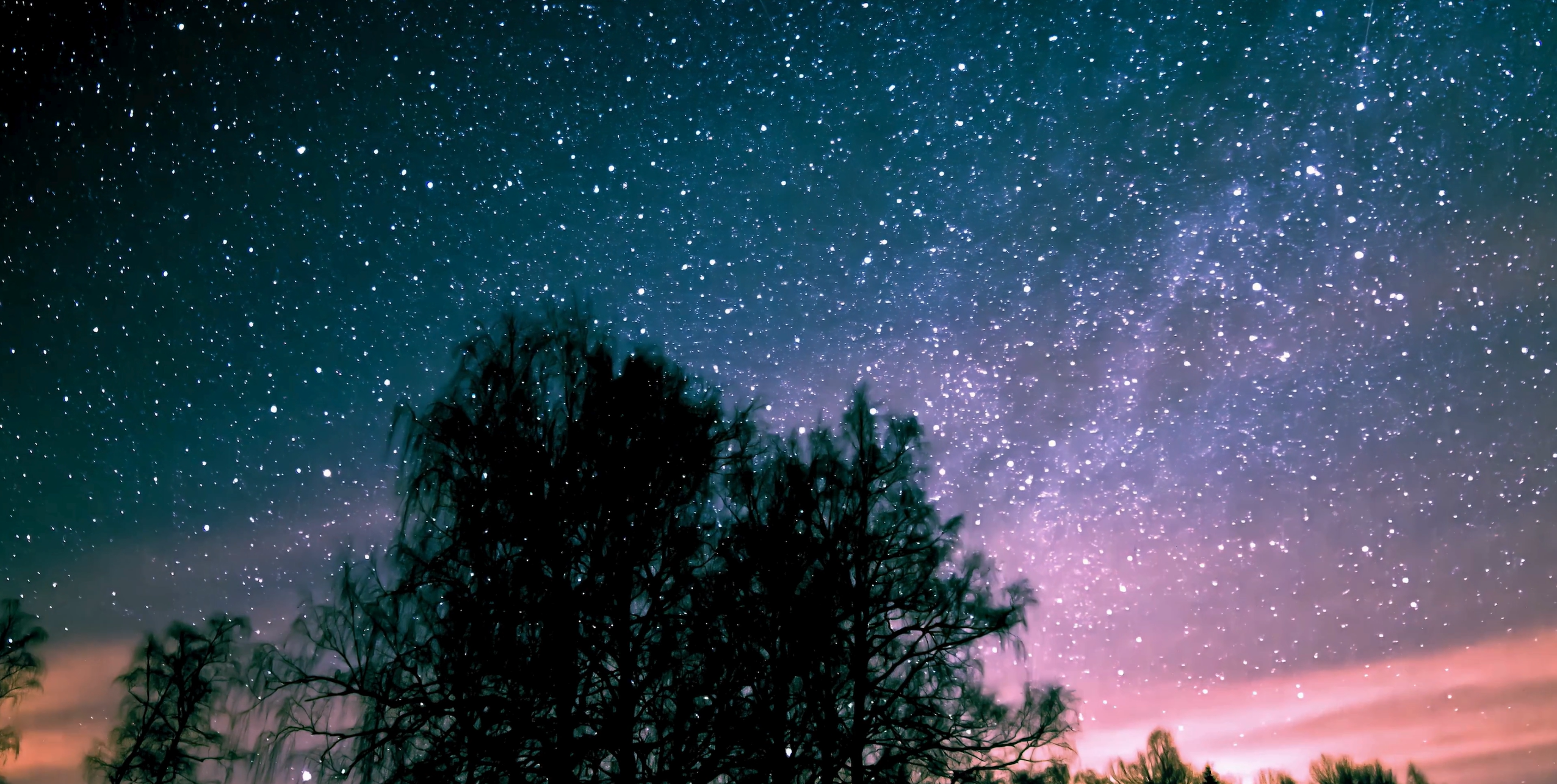 Starry night wonder