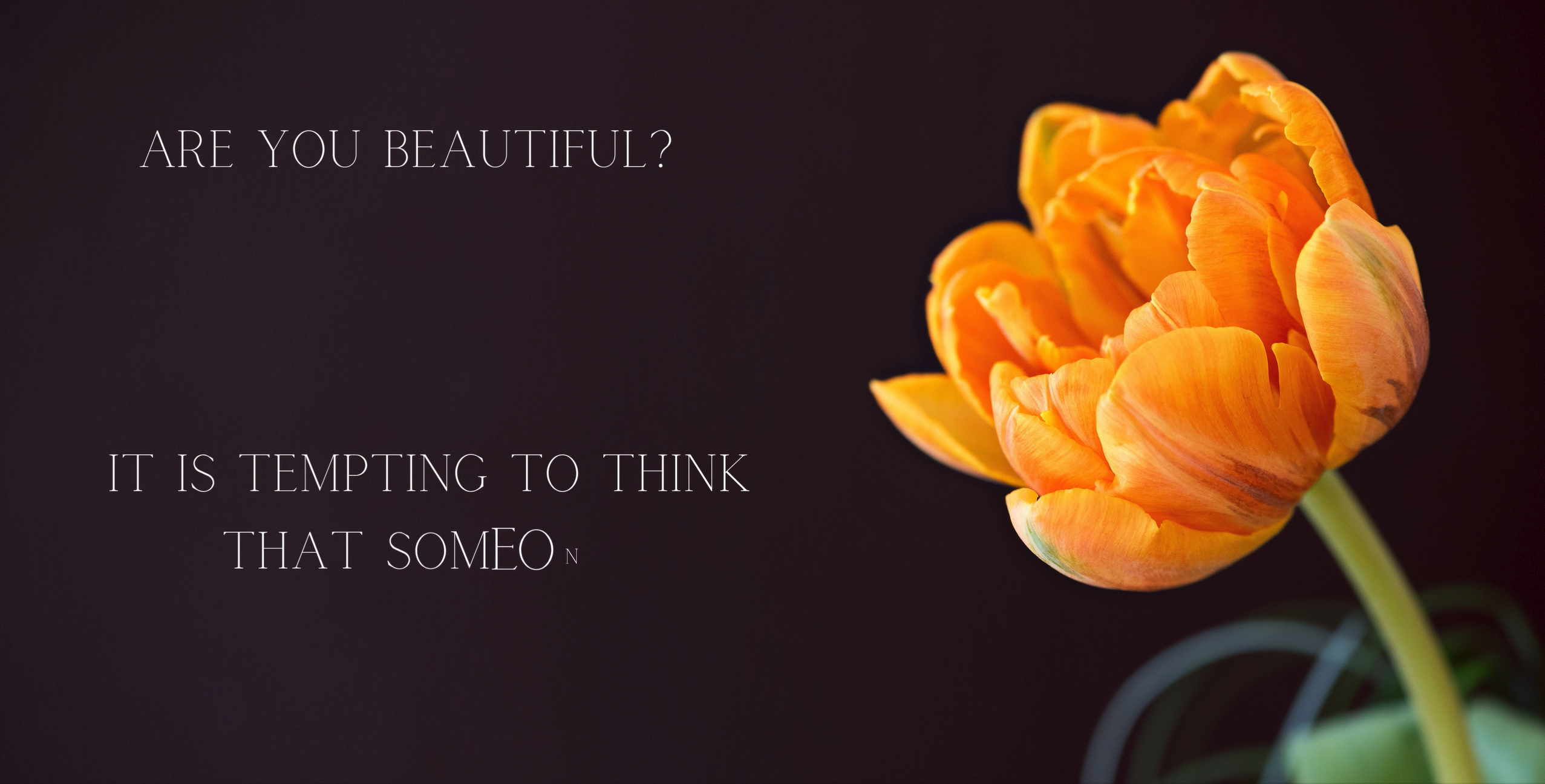 What is beauty?