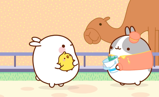 Molang And Piu Piu Summer Race Compilation