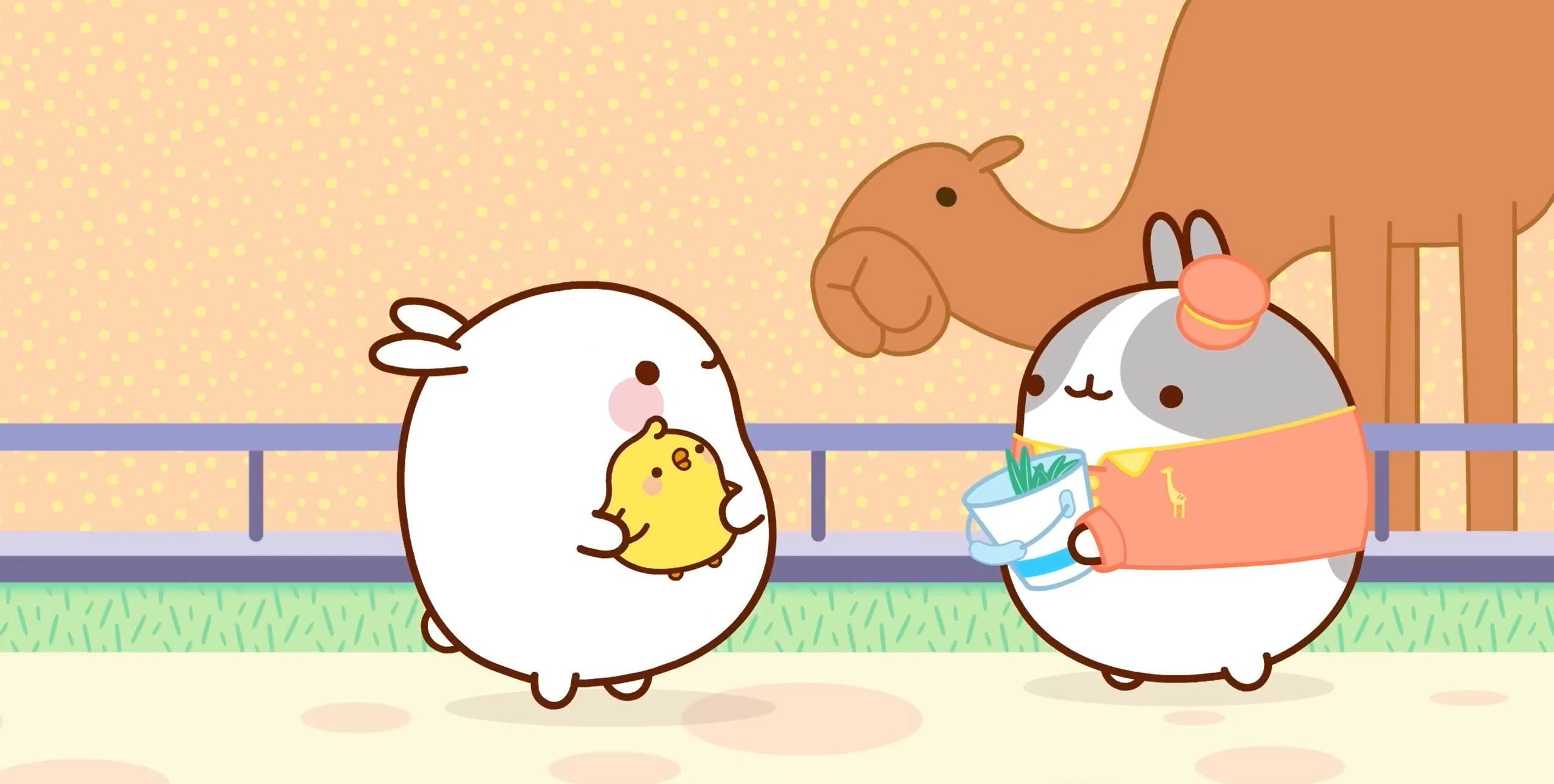 Molang And Piu Piu Summer Race Compilation