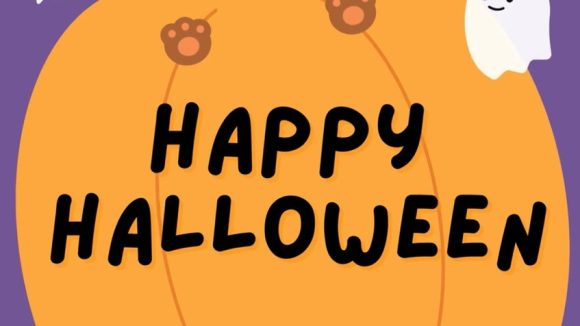 Trick Or Treat