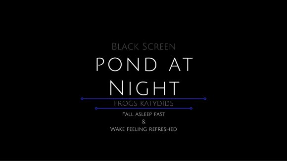 Frogs In The Pond At Night