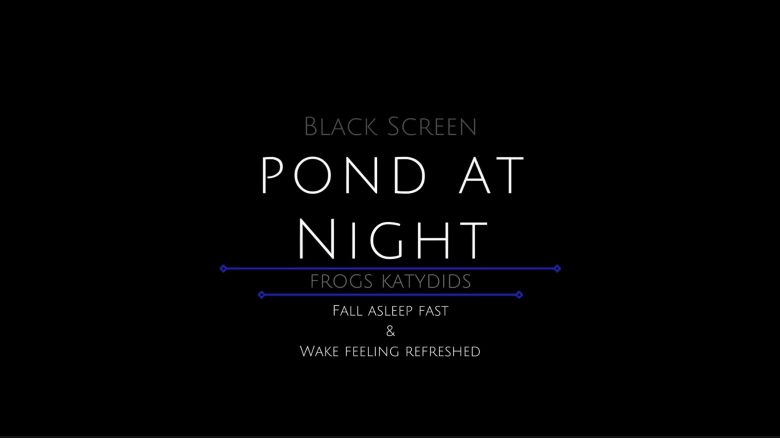 Frogs In The Pond At Night